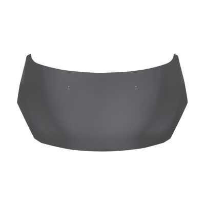 Espolon Peugeot 307 2007 / 2012