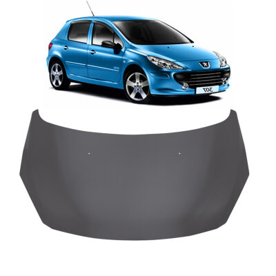 Espolon Peugeot 307 2007 / 2012